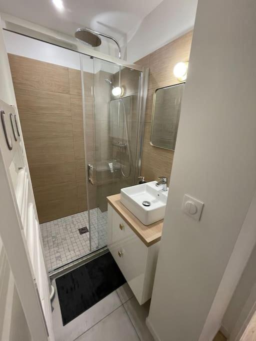Blue Iro, Lumineux, 4 Chambres, Balcon, 105M2 Saint-Etienne  Exterior foto